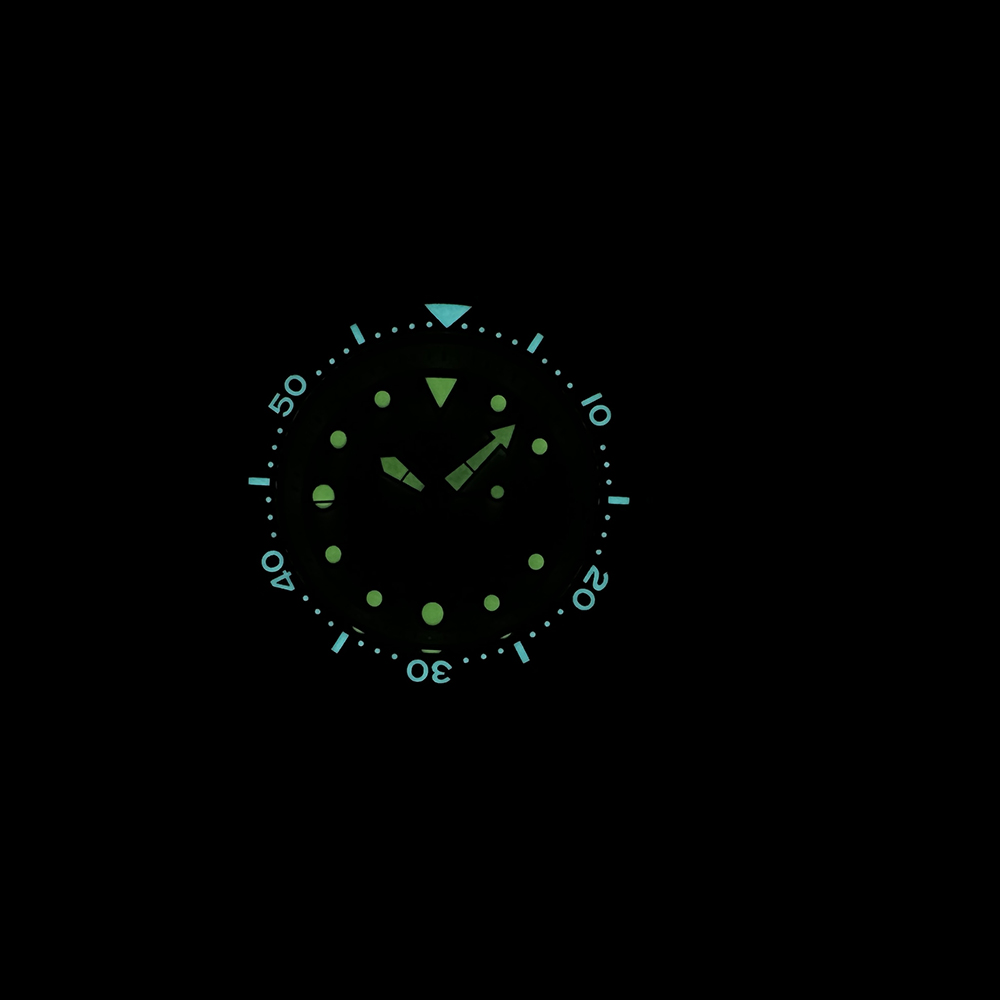 STEELDIVE SD1975 Turquesa Sunr - Seiko Watch Prospex recensione e prezzo